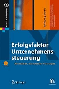 Erfolgsfaktor Unternehmenssteuerung - Wolfgang G. Walter - E-Book
