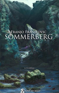 Sommerberg - Franjo Franjkovic - E-Book