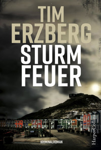 Sturmfeuer - Tim Erzberg - E-Book