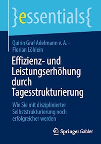 Effizienz- und Leistungserhöhung durch Tagesstrukturierung - Quirin Graf Adelmann v. A. - E-Book