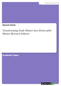 Transforming Dark Matter into Detectable Matter. Revised Edition - Daniel Stark - E-Book