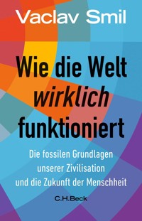Wie die Welt wirklich funktioniert - Vaclav Smil - E-Book