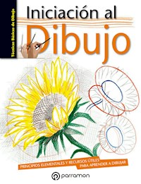 Técnicas básicas de dibujo. Iniciación al dibujo - Equipo Parramón Paidotribo - E-Book