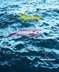 Materie - Christian Hermenau - E-Book