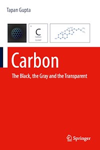 Carbon - Tapan Gupta - E-Book
