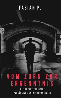 Von Zorn zur Erkenntnis - Fabian Pscherer - E-Book