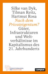 Nach dem Privateigentum? - Silke van Dyk - kostenlos E-Book