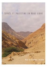 Israël et Palestine en roue libre - Alexandre Thinon - E-Book