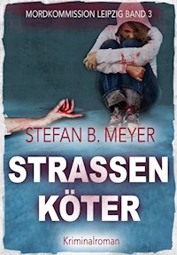 Straßenköter - Stefan B. Meyer - E-Book
