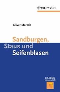 Sandburgen, Staus und Seifenblasen - Oliver Morsch - E-Book