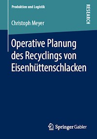 Operative Planung des Recyclings von Eisenhüttenschlacken - Christoph Meyer - E-Book