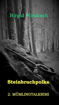 Steinbruchpolka - Birgid Windisch - E-Book