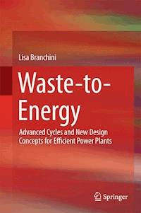 Waste-to-Energy - Lisa Branchini - E-Book