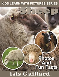 Sheep: Photos and Fun Facts for Kids - Isis Gaillard - E-Book