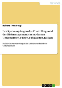 Der Spannungsbogen des Controllings und des Riskmanagements in modernen Unternehmen. Fakten, Fähigkeiten, Risiken - Robert Titus Feigl - E-Book