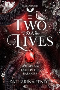 Two Lives: You are my light in the darkness ( Seelenbund-Trilogie Band 3 ) - Katharina Fendt - E-Book