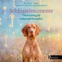 Schlüsselmomente - Dr. Viviane Theby - Hörbuch