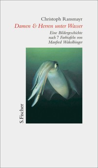 Damen & Herren unter Wasser - Christoph Ransmayr - E-Book