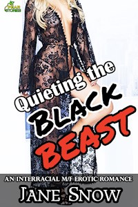 Quieting the Black Beast - Jane Snow - E-Book