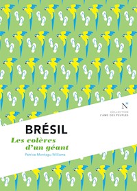 Brésil - Patrice Montagu-Williams - E-Book