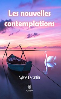 Les nouvelles contemplations - Sylvie Escartin - E-Book