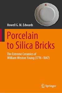 Porcelain to Silica Bricks - Howell G.M. Edwards - E-Book