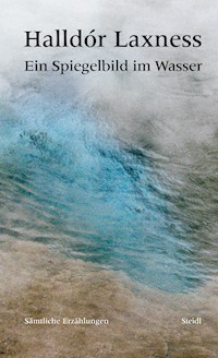 Ein Spiegelbild im Wasser - Halldór Laxness - E-Book
