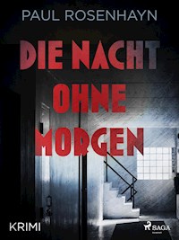 Die Nacht ohne Morgen - Krimi - Paul Rosenhayn - E-Book