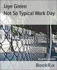 Not So Typical Work Day - Jaye Green - E-Book