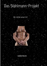 Das Stahlmann-Projekt - Karin Fruth - E-Book