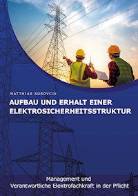 Aufbau und Erhalt einer Elektrosicherheitsstruktur - Matthias Surovcik - E-Book