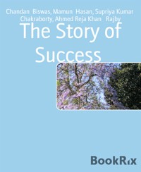 The Story of Success - Chandan Biswas - E-Book