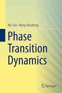 Phase Transition Dynamics - Tian Ma - E-Book