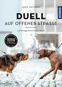 Duell auf offener Straße - Nadin Matthews - E-Book