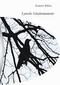 Lyrische Schattenmomente - Lorenz Filius - E-Book