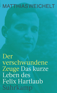 Der verschwundene Zeuge - Matthias Weichelt - E-Book
