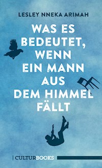 Was es bedeutet, wenn ein Mann aus dem Himmel fällt - Lesley Nneka Arimah - E-Book