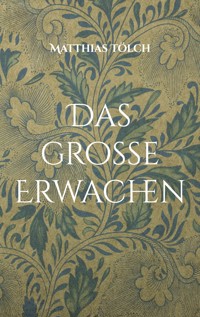 Das große Erwachen - Matthias Tölch - E-Book