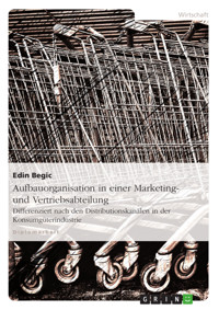 Aufbauorganisation in einer Marketing- und Vertriebsabteilung - Edin Begic - E-Book