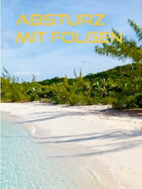 Absturz mit Folgen - Christine Stutz - E-Book