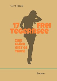 17 frei Tegernsee - Gerd Haufe - E-Book