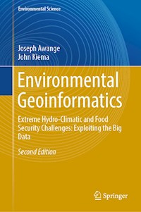 Environmental Geoinformatics - Joseph Awange - E-Book