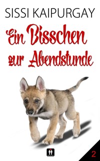 Ein Bisschen zur Abendstunde 2 - Sissi Kaipurgay - E-Book