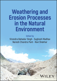 Weathering and Erosion Processes in the Natural Environment -  - E-Book