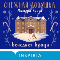 Снежная ловушка мистера Куина - Benedikt Braun - Hörbuch