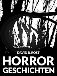 Horrorgeschichten - David B. Rost - E-Book