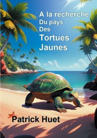 A la recherche du pays des Tortues Jaunes - Patrick Huet - E-Book