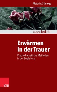 Erwärmen in der Trauer - Matthias Schnegg - E-Book
