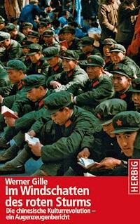 Im Windschatten des roten Sturms - Werner Gille - E-Book