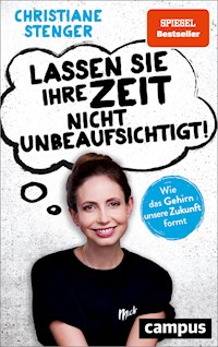 Lassen Sie Ihre Zeit nicht unbeaufsichtigt! - Christiane Stenger - E-Book
